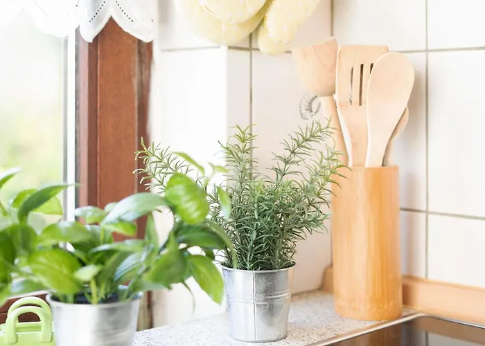 Appartement Moewe Casa